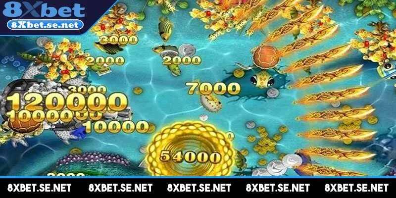 Sự phong phú của các sinh vật biển độc đáo làm nên sức hấp dẫn