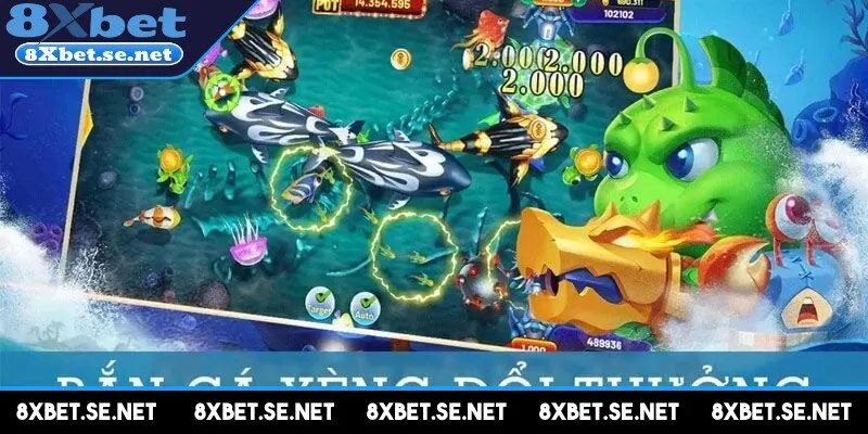 Sự đa dạng về sinh vật biển và cấp độ súng là điểm thu hút đặc biệt