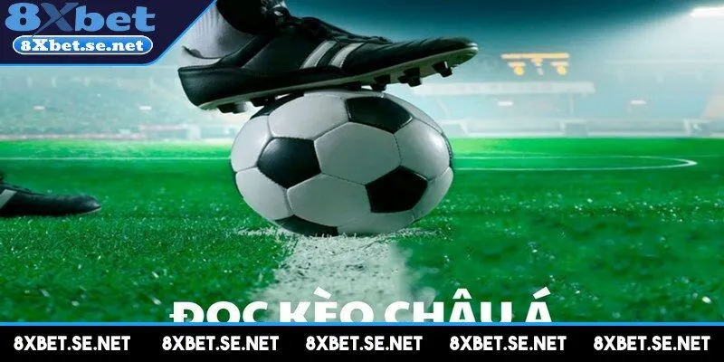 Kèo châu Á đang là một trong những hình thức giải trí hấp dẫn