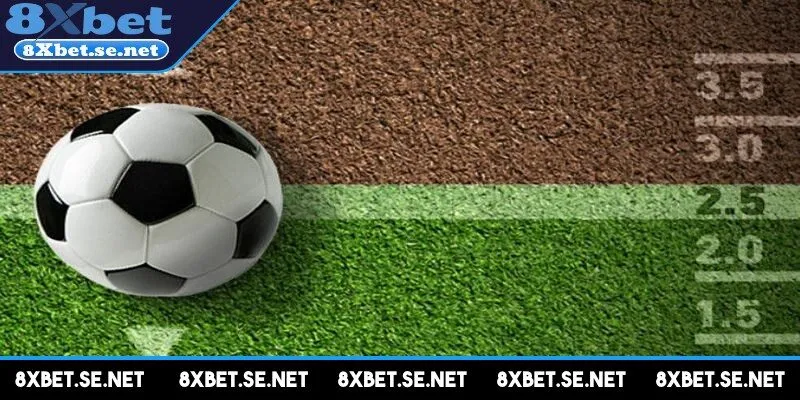 Dự đoán tổng bàn thắng rất được ưa chuộng, tham gia hiện nay